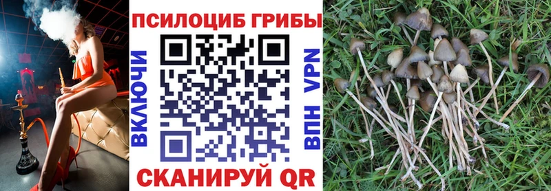 Галлюциногенные грибы мухоморы  Купить где  Уварово 